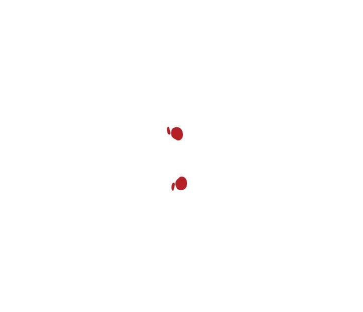 logo UBX